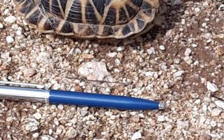 29 Bedroom Hospitality For Sale in Aus