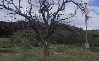 Farm For Sale in Khomas Hochland, Windhoek