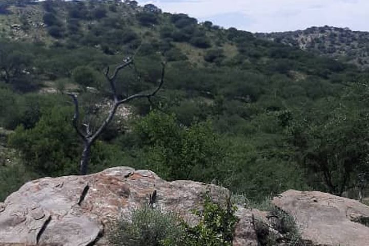 Farm For Sale in Khomas Hochland, Windhoek