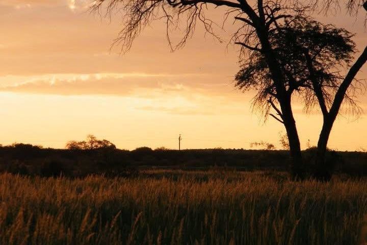 3 Bedroom Farm For Sale in Stampriet