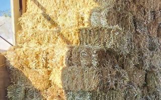 3 Bedroom Farm For Sale in Stampriet