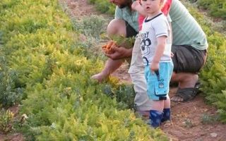 3 Bedroom Farm For Sale in Stampriet