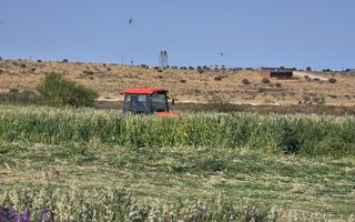 3 Bedroom Farm For Sale in Stampriet