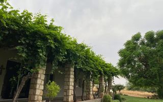 3 Bedroom Farm For Sale in Stampriet