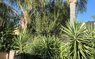 4 Bedroom House For Sale in Windhoek Country Club, Windhoek