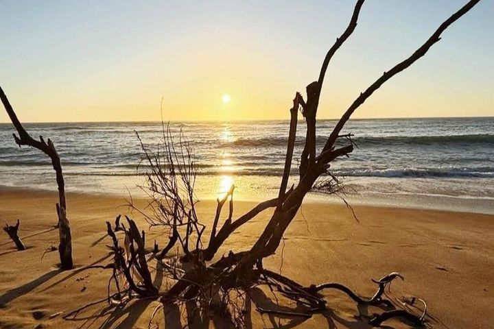 House To Rent in Lagoon