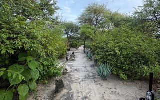 Farm For Sale in Grootfontein