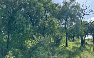 Farm For Sale in Grootfontein