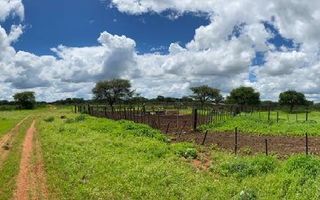 Farm For Sale in Hochfeld