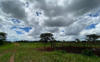 Farm For Sale in Hochfeld