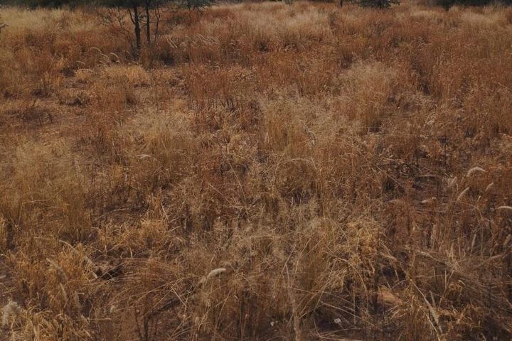 House For Sale in Khomas Hochland, Windhoek