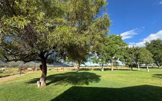 Small Holding / Plot For Sale in Otavi