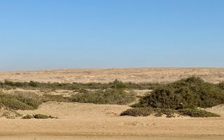 4 Bedroom Small Holding / Plot For Sale in Swakopmund River...