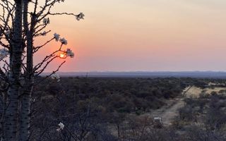 Farm For Sale in Outjo