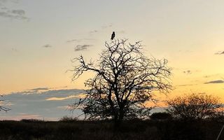 Farm For Sale in Outjo