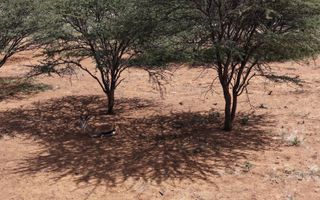 Farm For Sale in Outjo