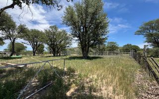 Farm For Sale in Kalkfeld