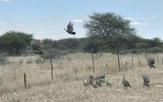 Farm For Sale in Outjo