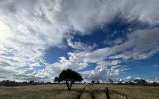 Farm For Sale in Steinhausen, Namibia