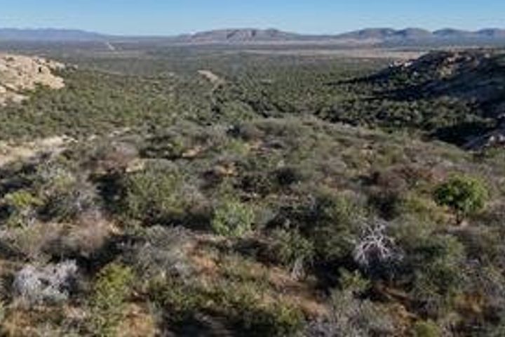 Farm For Sale in Steinhausen, Namibia