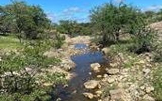 Farm For Sale in Outjo