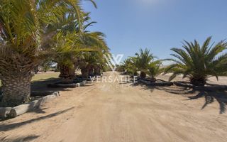 8 Bedroom Small Holding / Plot For Sale in River Plots, Swak...