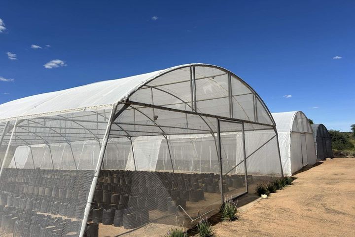 Small Holding / Plot For Sale in Windhoek Central, Windhoek