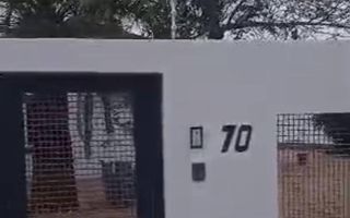 4 Bedroom House To Rent in Academia, Windhoek
