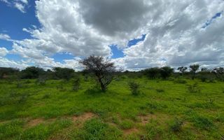 Farm For Sale in Hochfeld