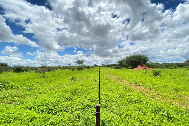 Farm For Sale in Hochfeld