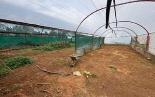 Farm For Sale in Hochfeld