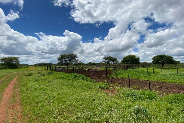 Farm For Sale in Hochfeld