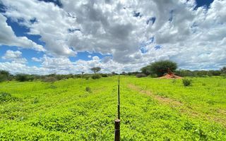 Farm For Sale in Hochfeld