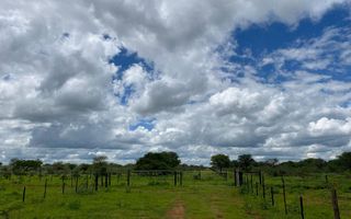 Farm For Sale in Hochfeld