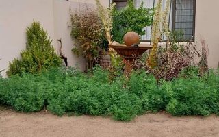 3 Bedroom House For Sale in Okahandja