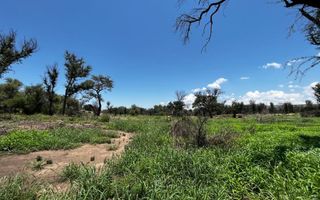 Farm For Sale in Outjo