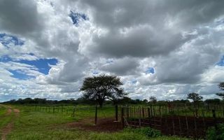 Farm For Sale in Hochfeld