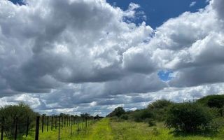 Farm For Sale in Hochfeld