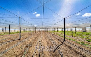 Small Holding / Plot For Sale in Swakopmund River Plots, Swa...