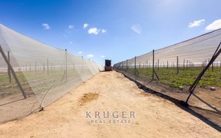 Small Holding / Plot For Sale in Swakopmund River Plots, Swa...