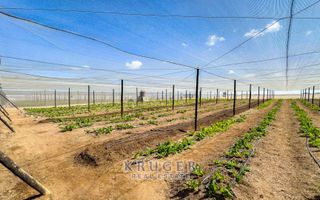 Small Holding / Plot For Sale in Swakopmund River Plots, Swa...