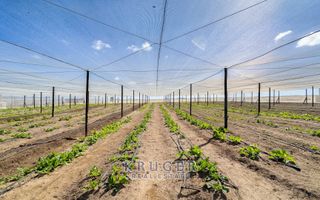 Small Holding / Plot For Sale in Swakopmund River Plots, Swa...