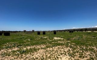 Farm For Sale in Outjo