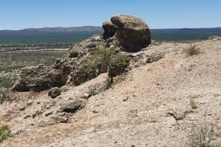 Farm For Sale in Outjo