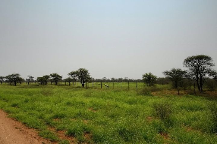 Farm For Sale in Otjiwarongo