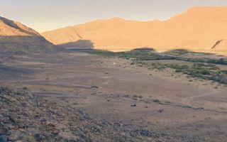 Small Holding / Plot For Sale in Noordoewer