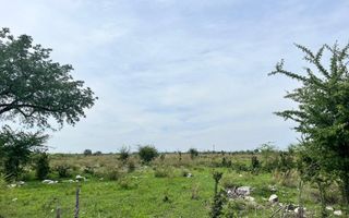 Hospitality For Sale in Tsumeb