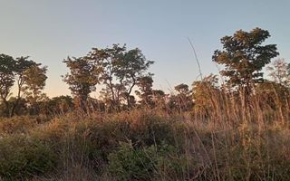 Farm For Sale in Rundu