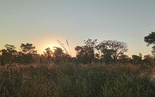 Farm For Sale in Rundu