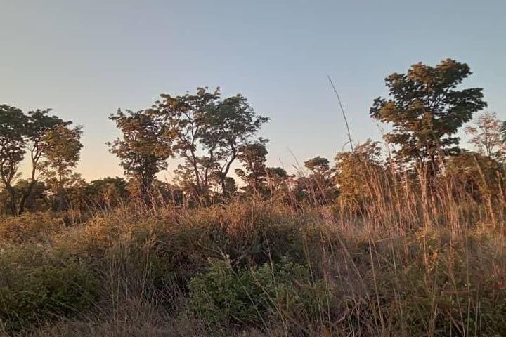 Farm For Sale in Rundu